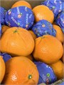 Мандарин  01140