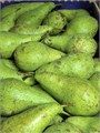 Груша Конференция 01176