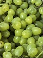 Киш-Миш Зеленый  01225